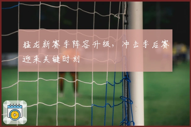 猛龙新赛季阵容升级，冲击季后赛迎来关键时刻