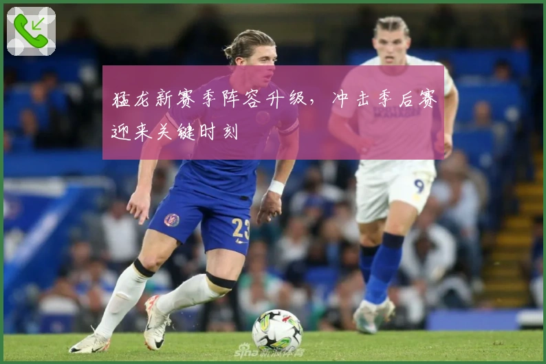 猛龙新赛季阵容升级，冲击季后赛迎来关键时刻