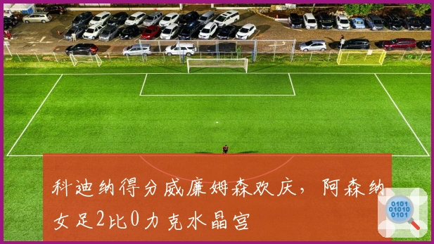 科迪纳得分威廉姆森欢庆，阿森纳女足2比0力克水晶宫